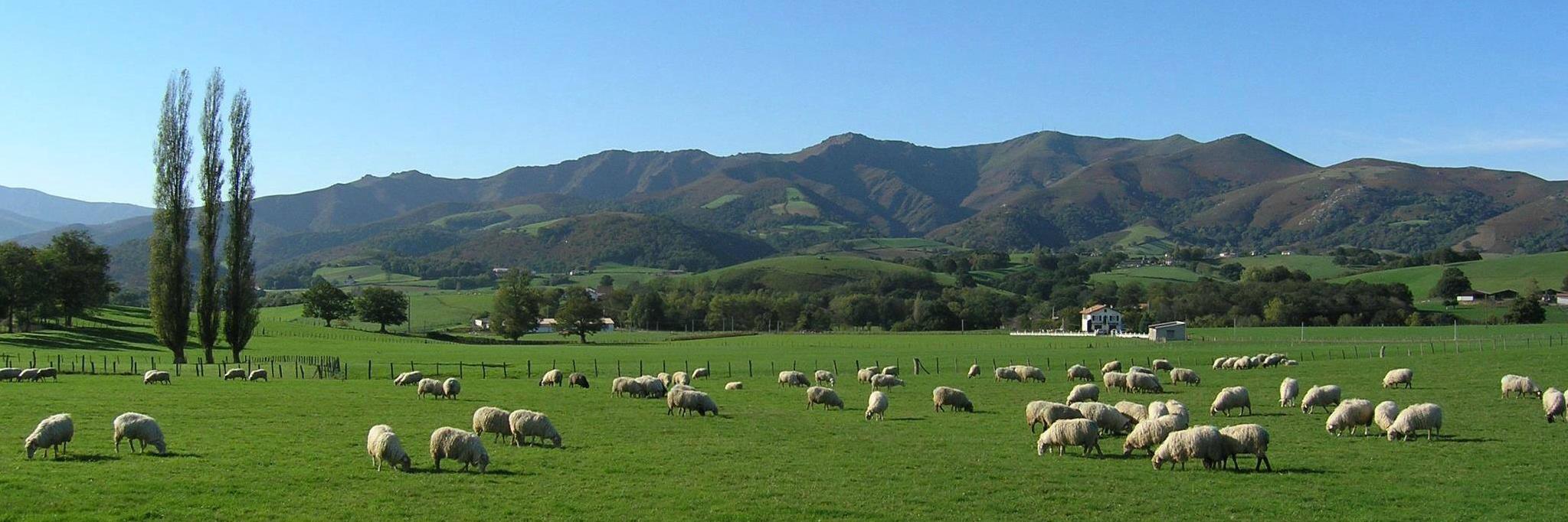 GUIDE DU PAYS BASQUE banner