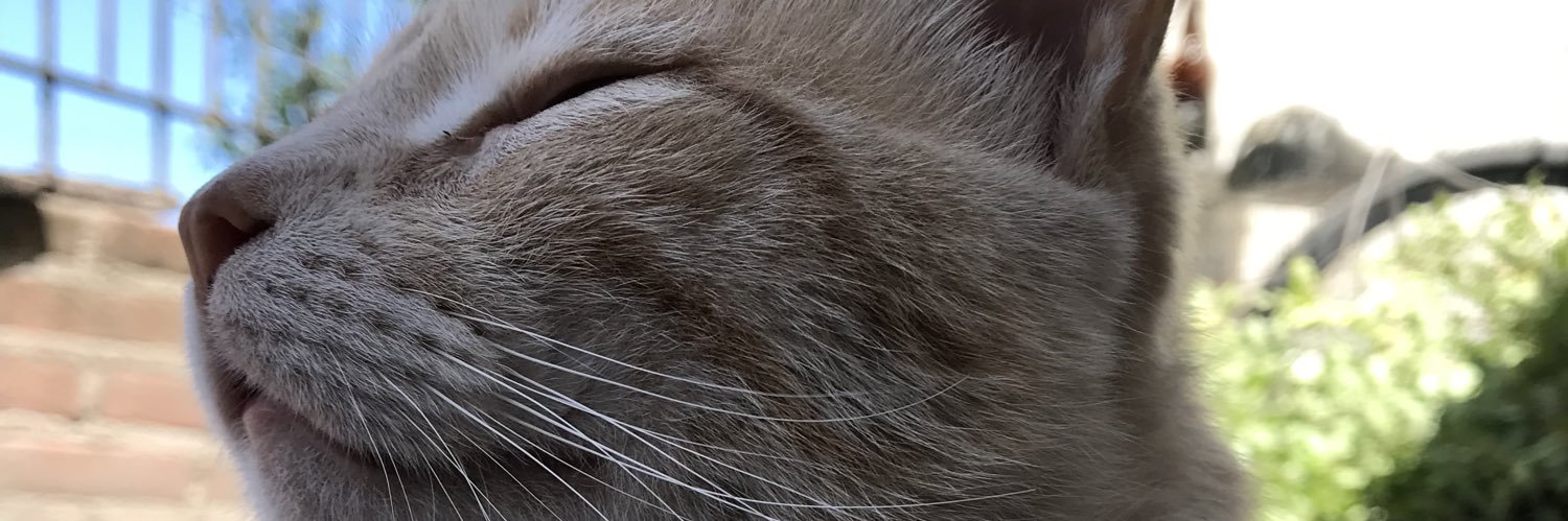 Germann___'s profile banner image