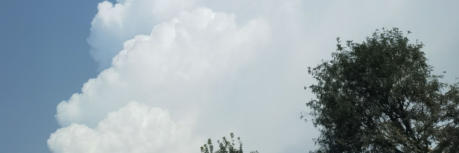 OPgd6's profile banner image