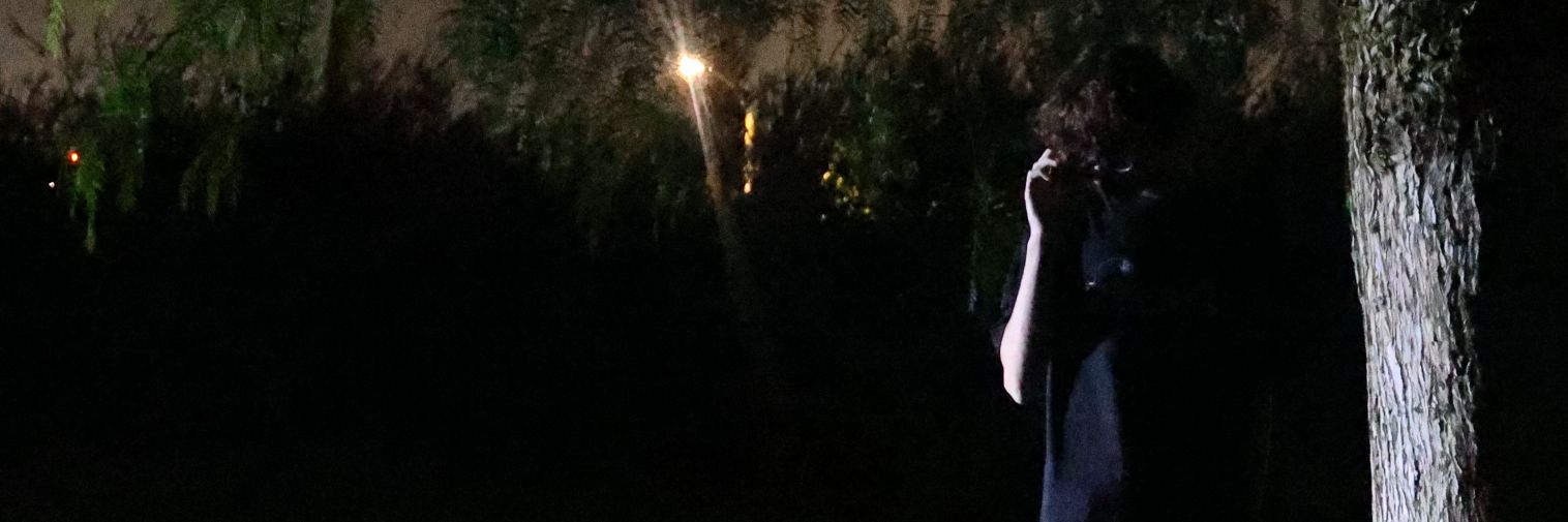 Diamavoid's profile banner image
