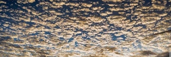 Suzagna's profile banner image