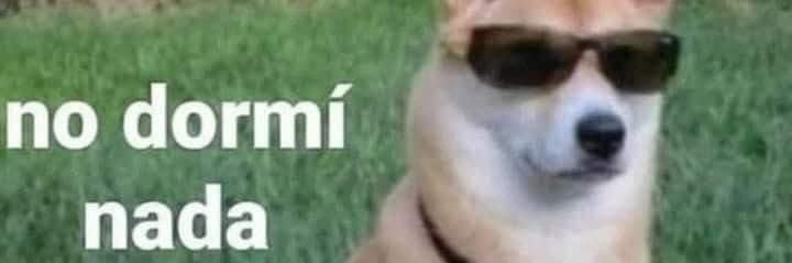 mafer_56's profile banner image