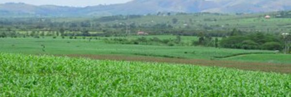 PudenceR Profile Banner