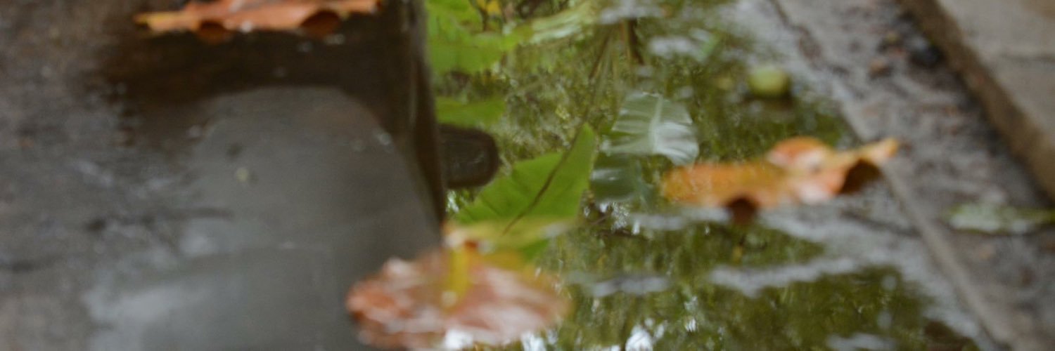 mithunnivas's profile banner image