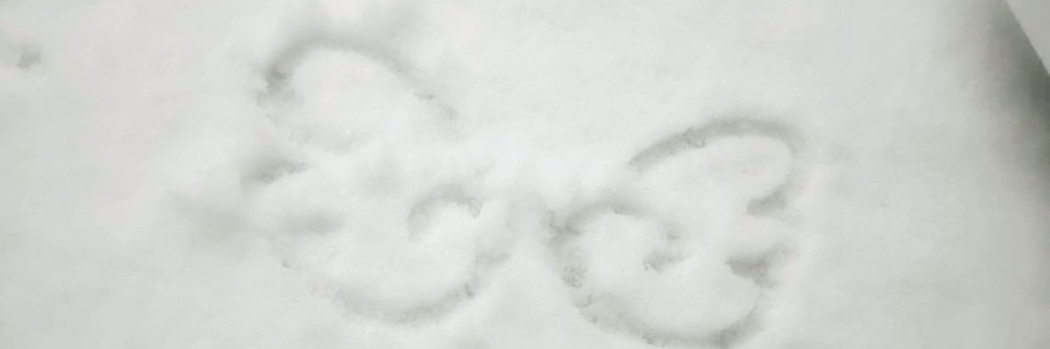 mi00aa's profile banner image