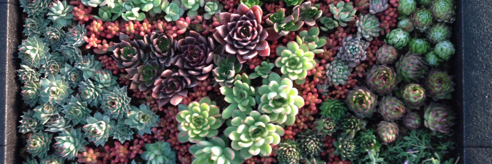 ArJ_Rodriguez's profile banner image