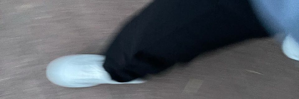lavi banner