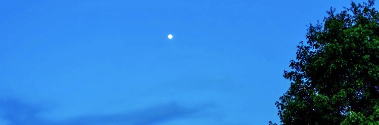 CaritoAdvocate's profile banner image