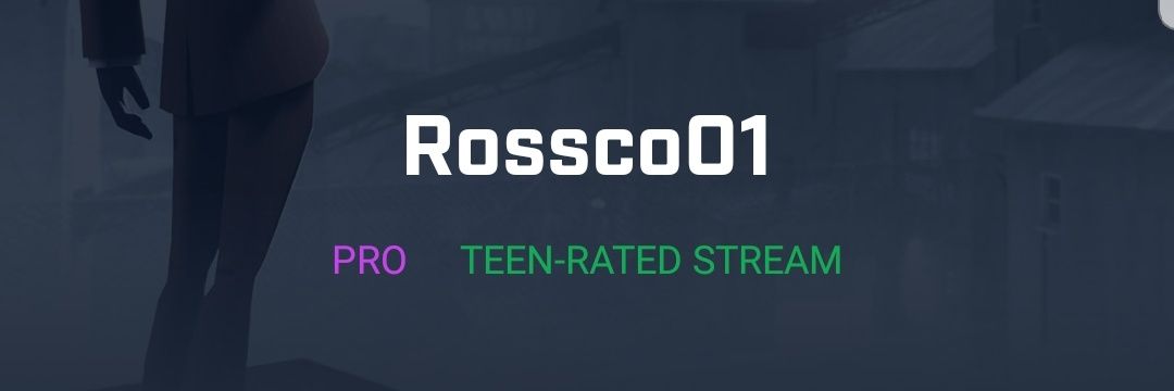 Rossigaming1's profile banner image