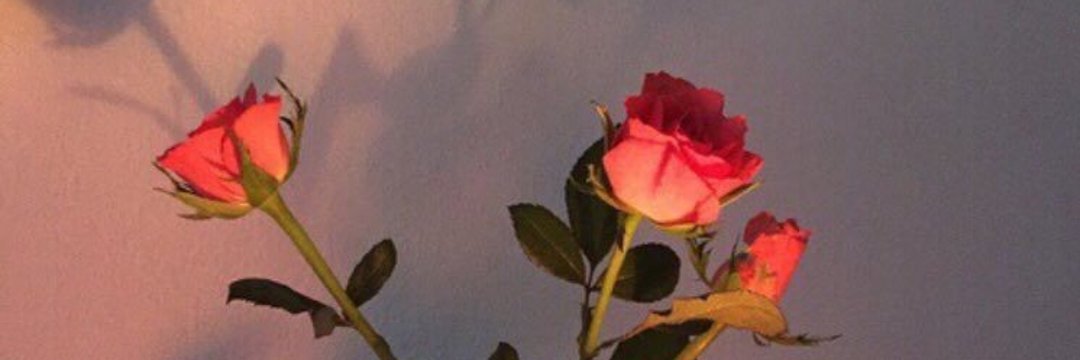 realfarinn's profile banner image