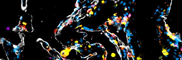 KapellosTS Profile Banner