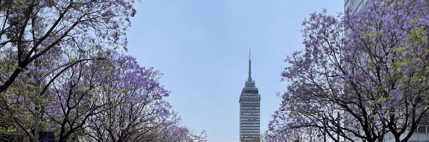 monangulo's profile banner image