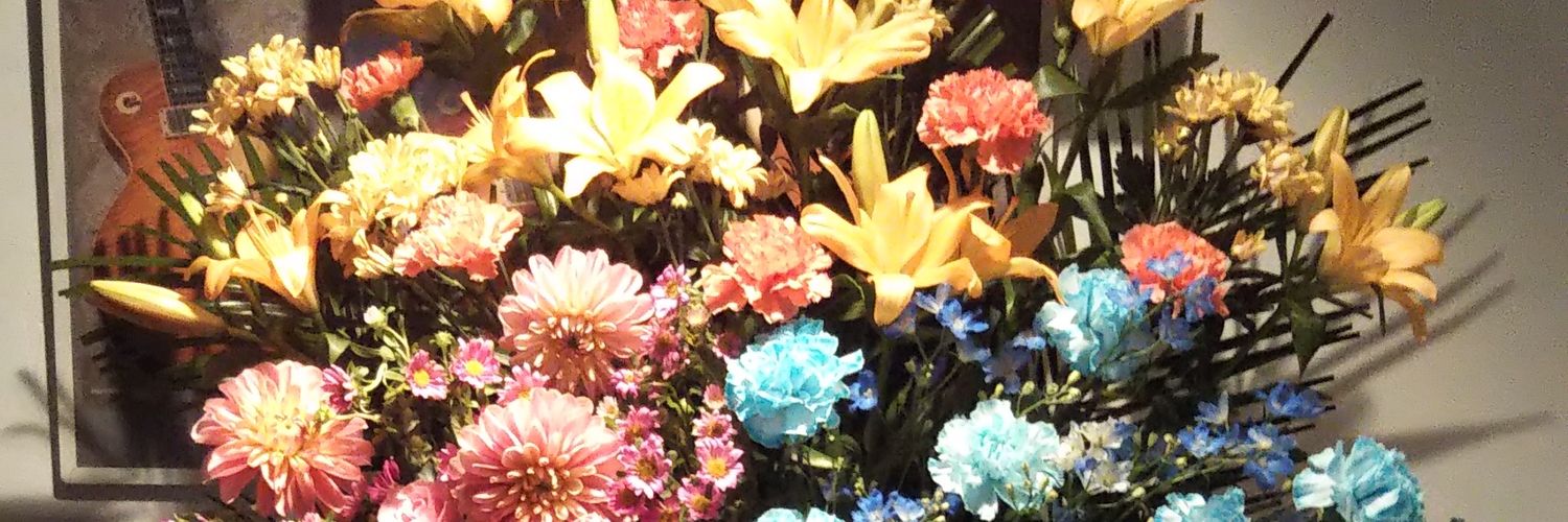 bear_panda's profile banner image