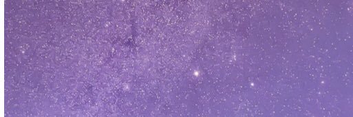 coniiherrmann's profile banner image
