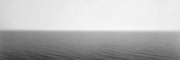 maxine Profile Banner