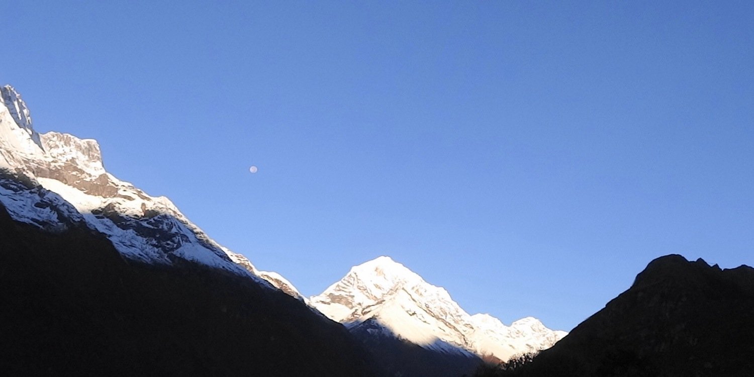 Peter Hamilton banner