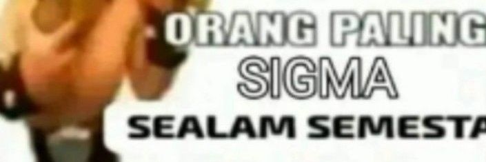 sapi 🐄 banner