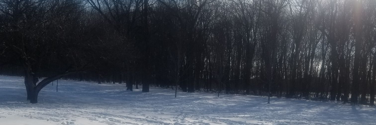VanessEug's profile banner image