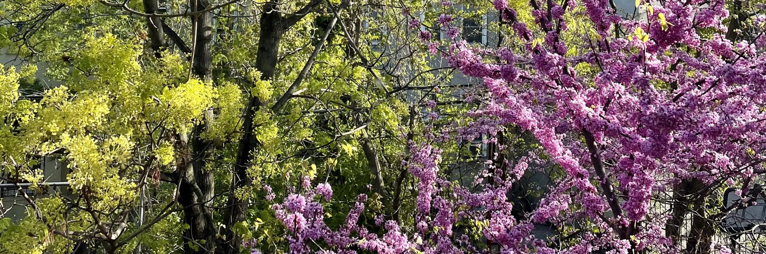 Crystal Merope Jeffs banner