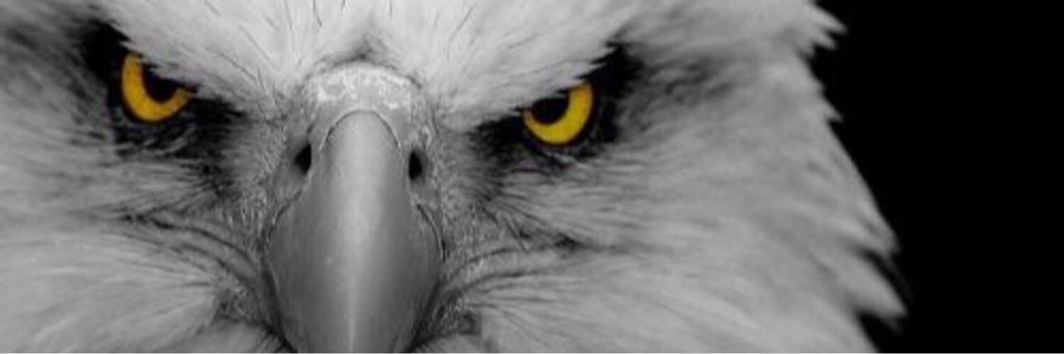 mmt00034's profile banner image