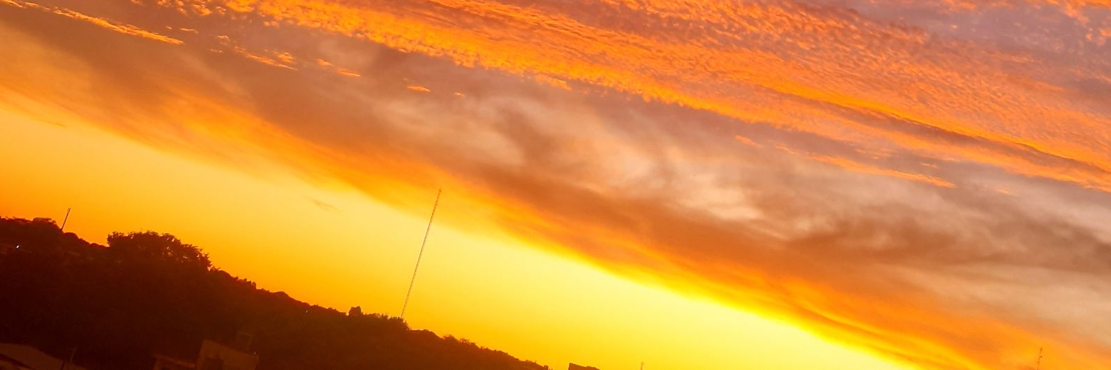 Zai_Ortiz's profile banner image