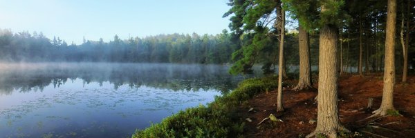 dreyalcohen Profile Banner