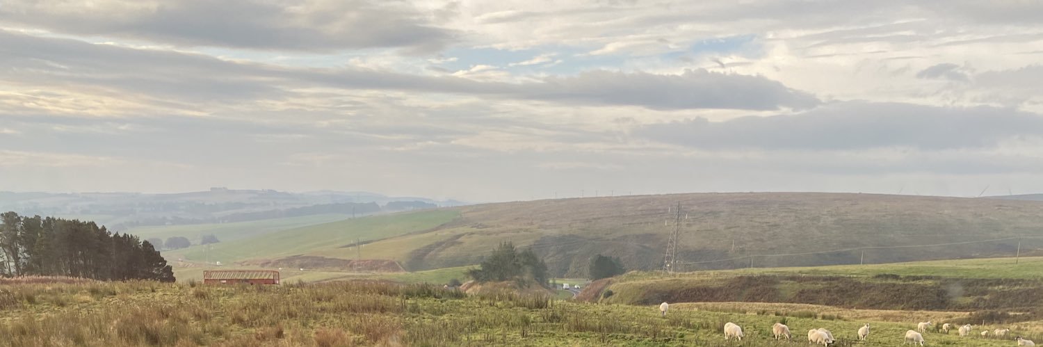 newark_town's profile banner image