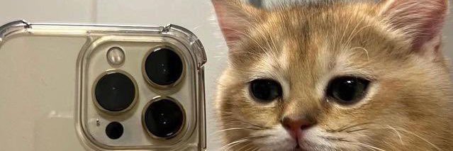Amay4_o5's profile banner image