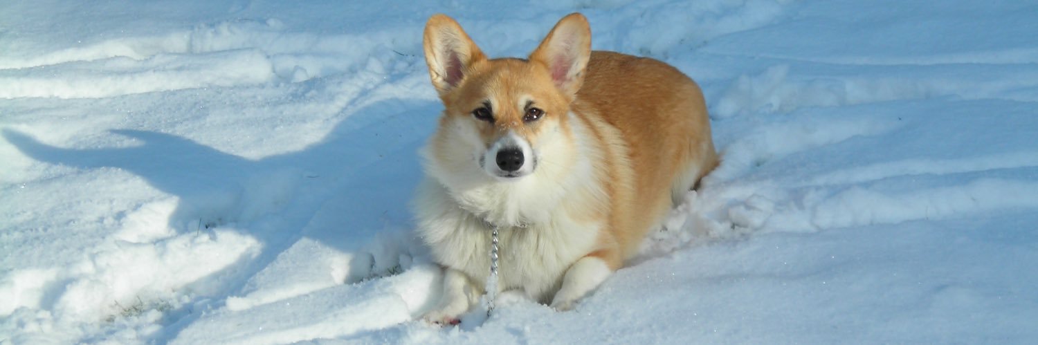 Land Development Realities banner