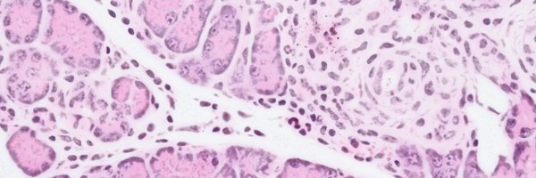 CJHPhD Profile Banner