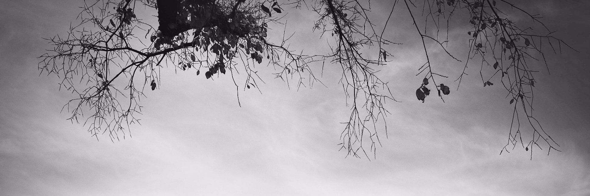 khleitch's profile banner image
