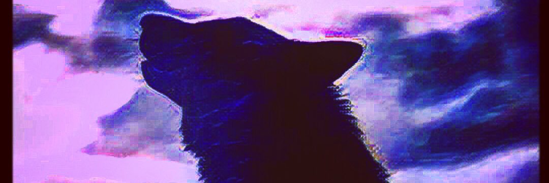 M🌘NSET ☀️shine banner