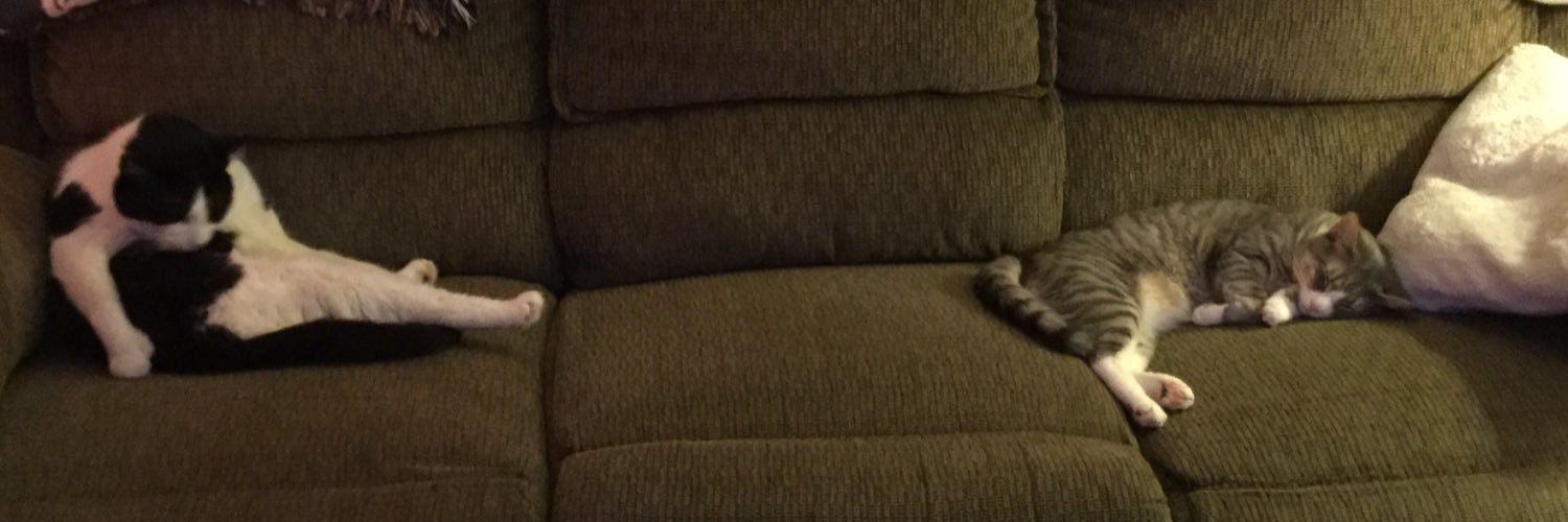 ErinMolta's profile banner image