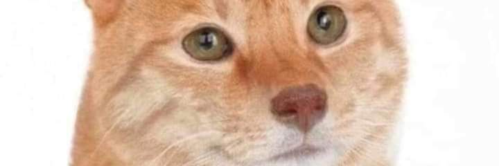 Claming8's profile banner image