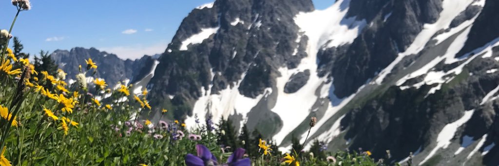marasfranceschi's profile banner image
