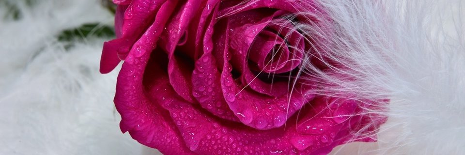 yosria3's profile banner image