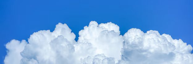 gentleflower71's profile banner image