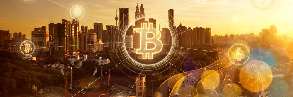 cryptohardsg's profile banner image