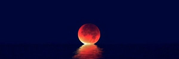 lesdoehost's profile banner image