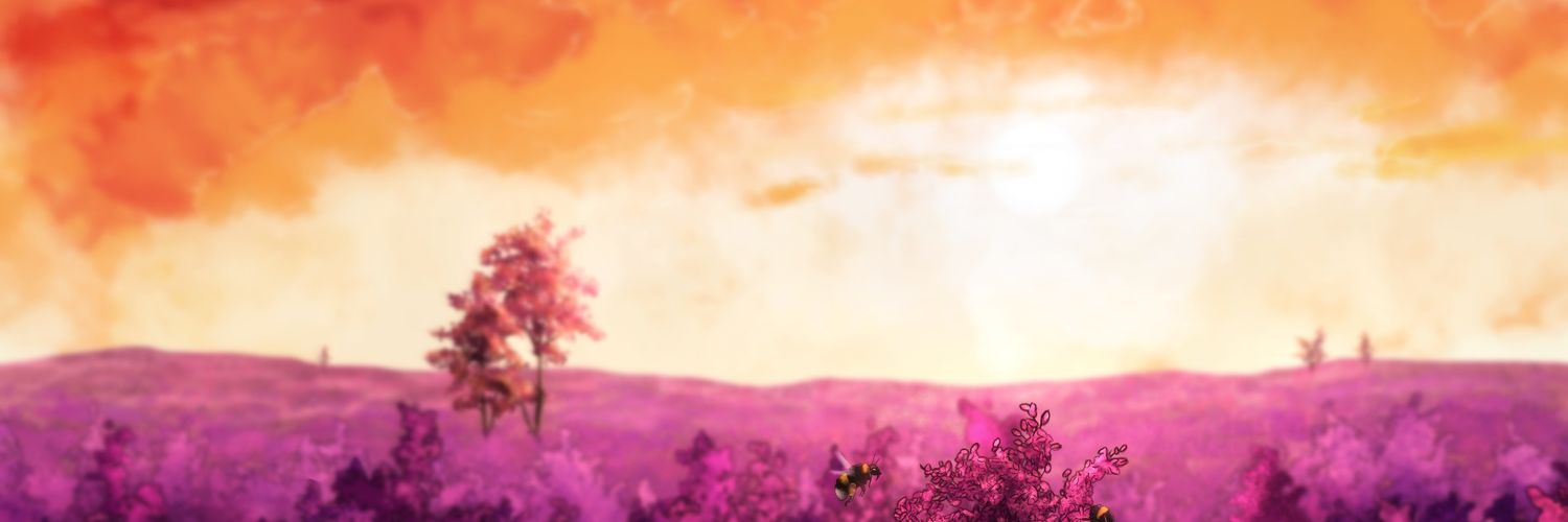 erikalesousa's profile banner image