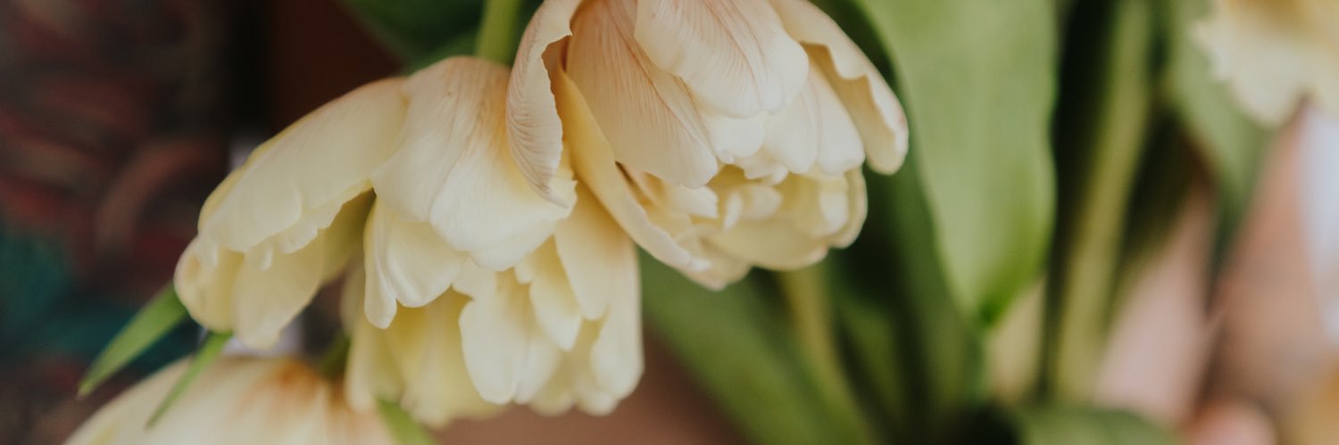 noah fence 🕷️ banner