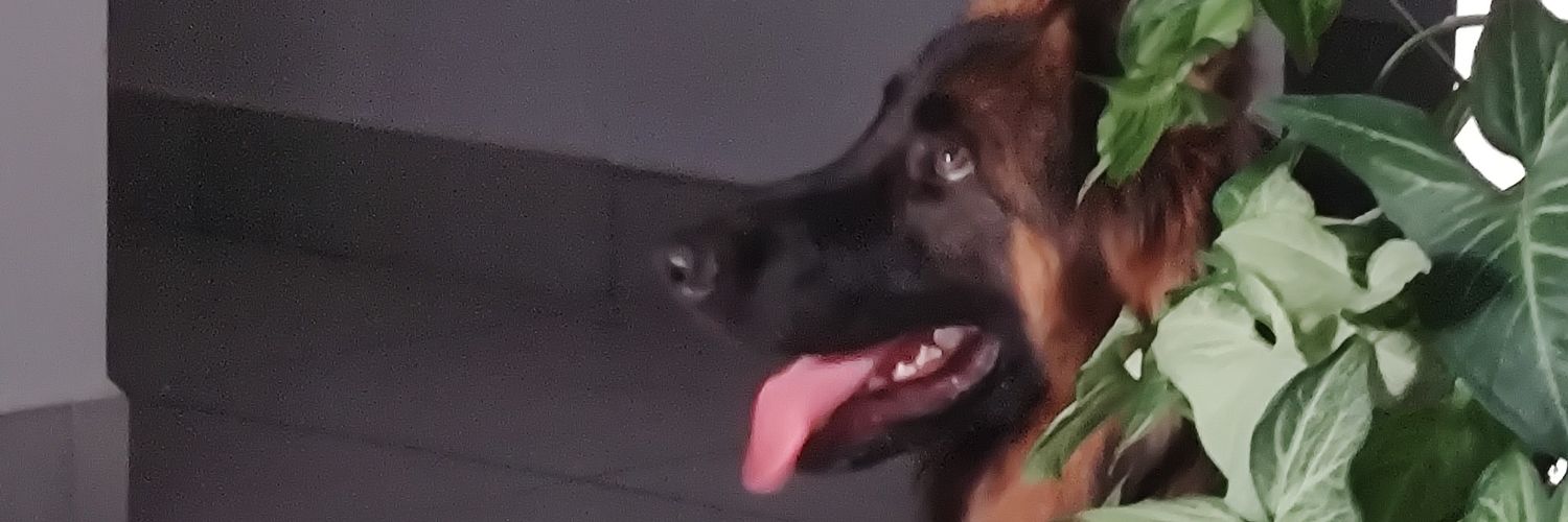 larabalceda's profile banner image