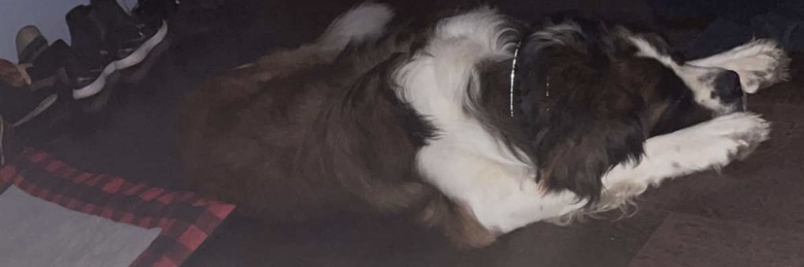 AlBal72's profile banner image