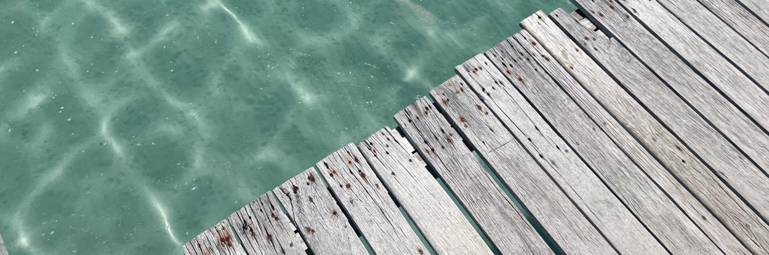 サグンチーイ🐳 banner