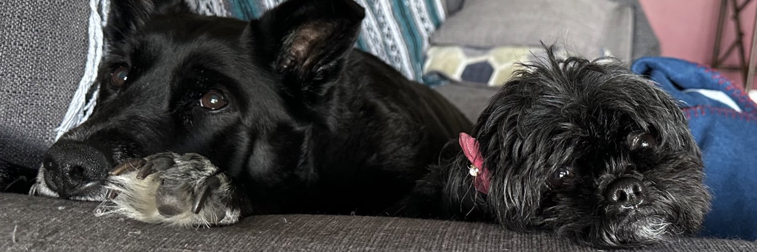 mkr0d's profile banner image