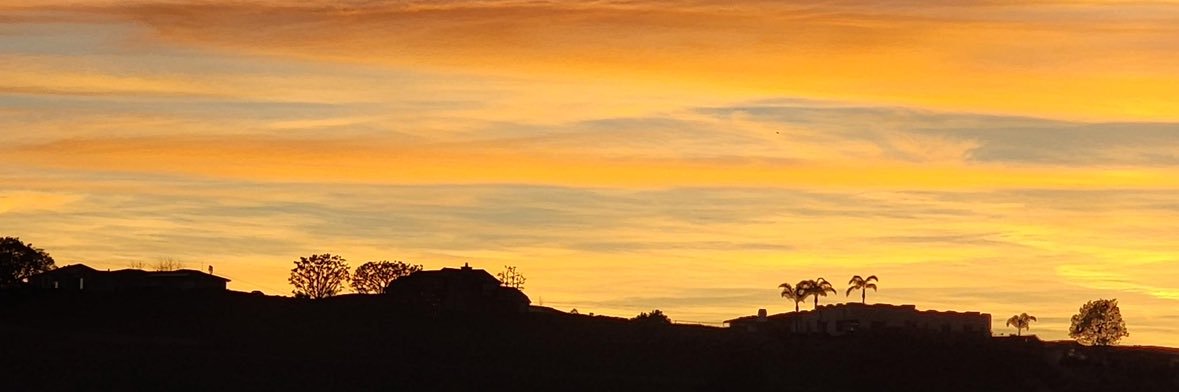 Laurie 💙 🇺🇦 banner