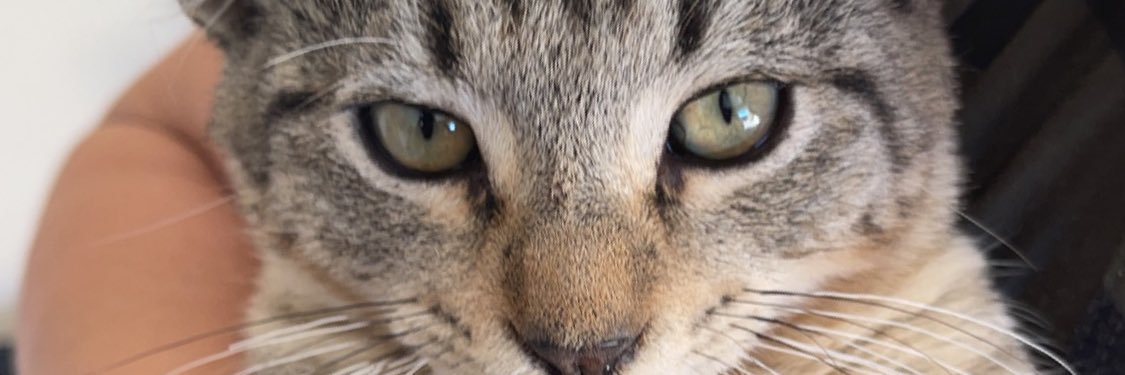 AsherGonzalez2's profile banner image