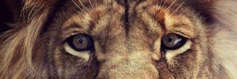 Santiago_ESS's profile banner image