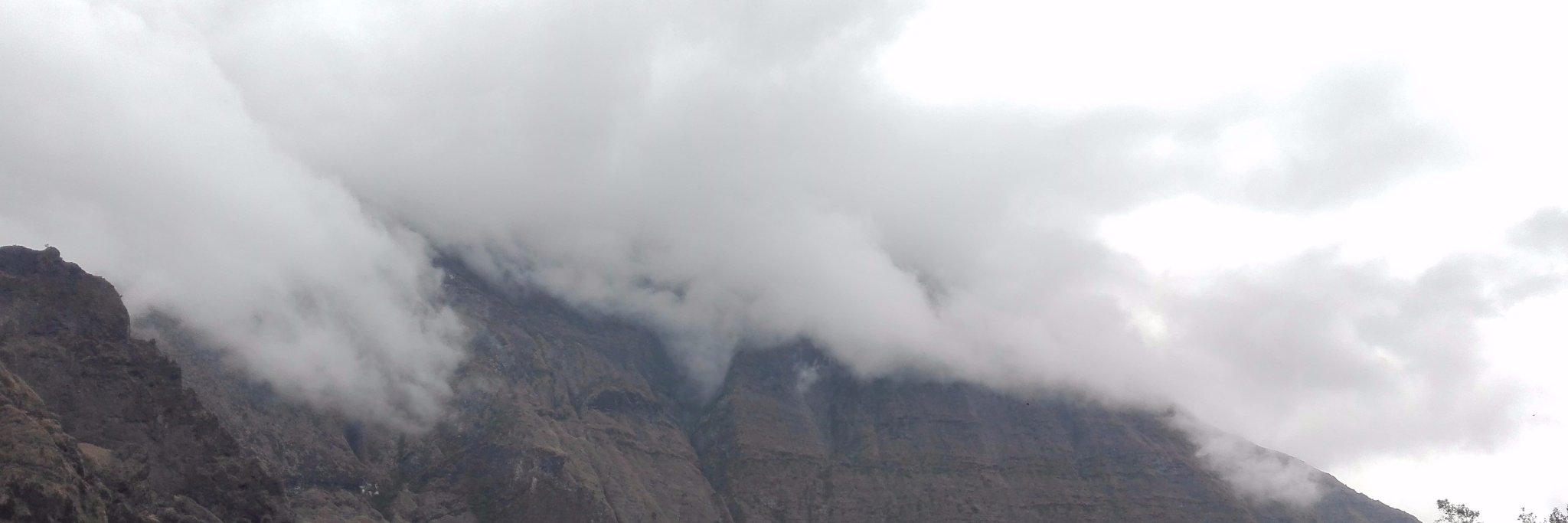 jadebadra's profile banner image