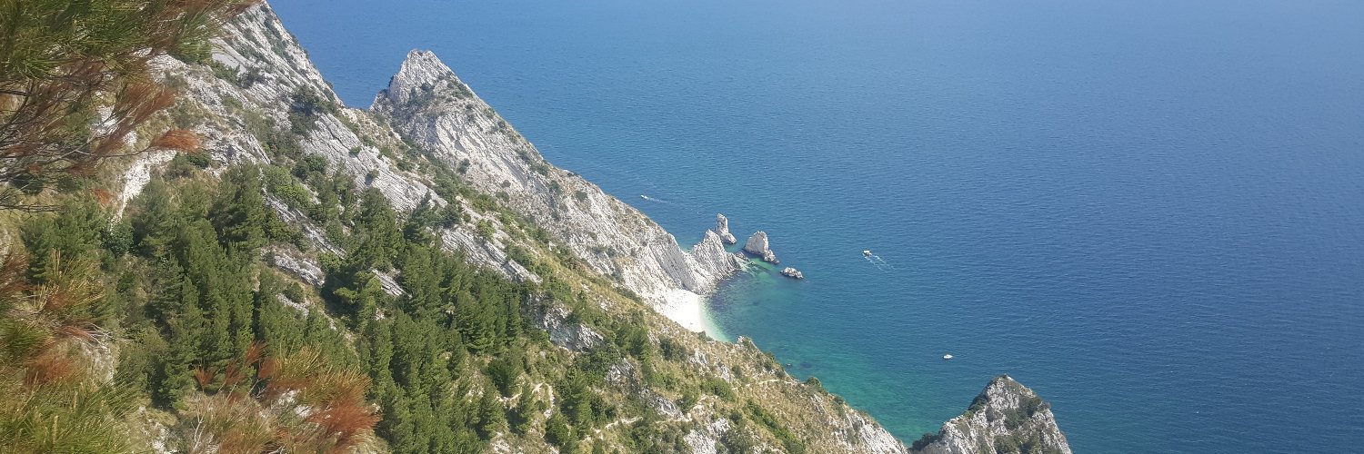 Gloria Cosoli banner